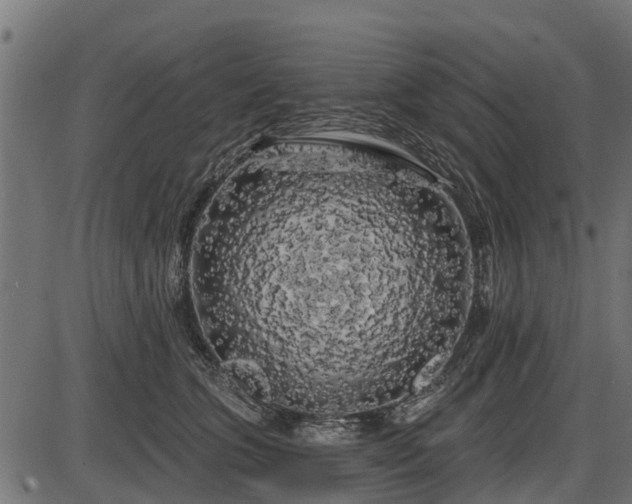 X0000086300563200704091024