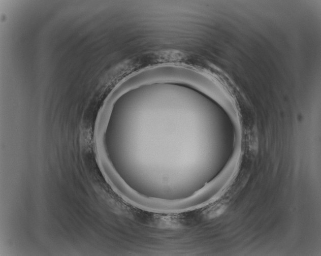 X0000086300564200704091024