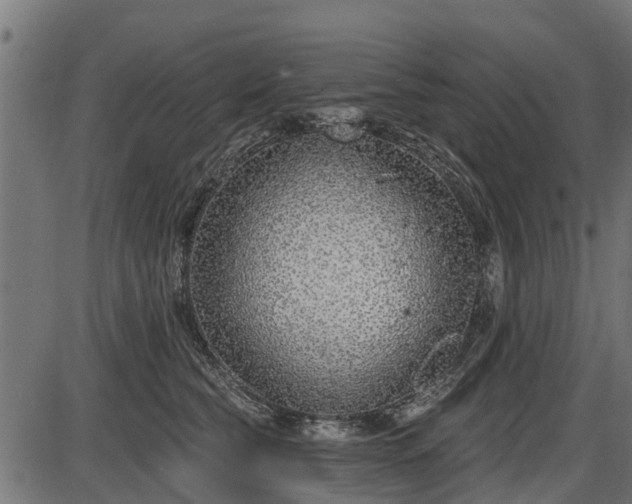 X0000086300565200704091024