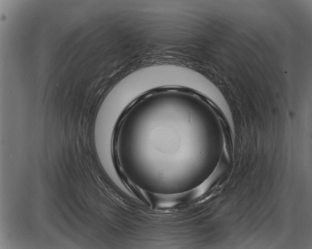 X0000086300566200704091024