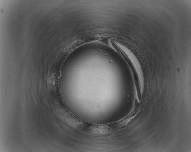 X0000086300567200704091024