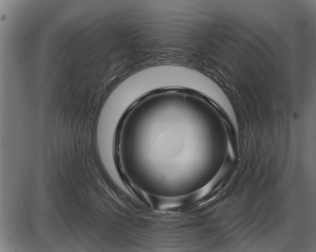 X0000086300568200704091024