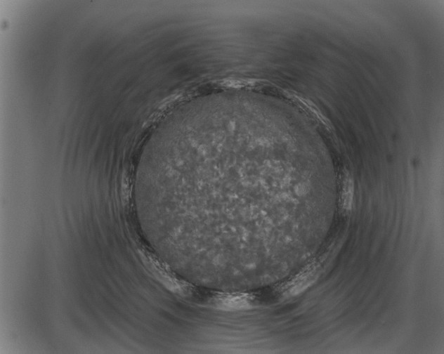 X0000086300569200704091024