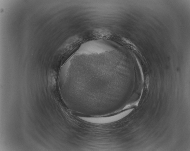 X0000086300570200704091024