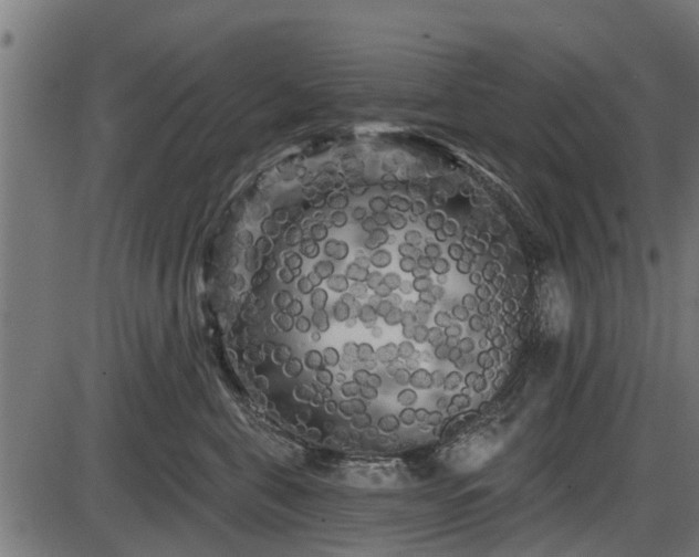 X0000086300571200704091024