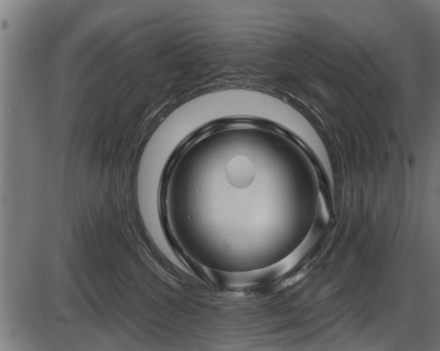 X0000086300572200704091024