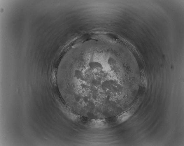 X0000086300573200704091024