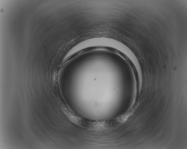 X0000086300574200704091024