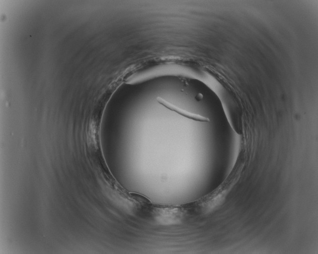 X0000086300575200704091024