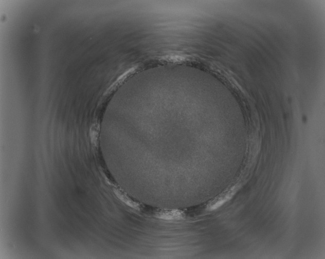 X0000086300576200704091024