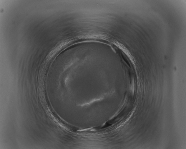 X0000086300577200704091023