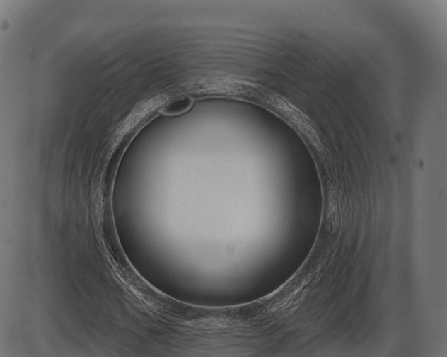 X0000086300578200704091023