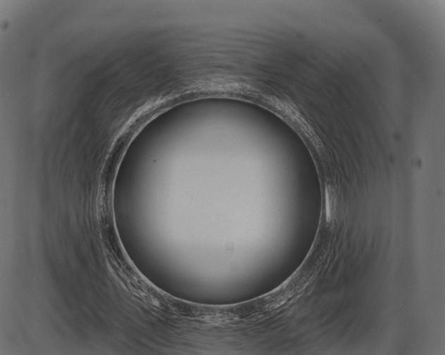 X0000086300579200704091023