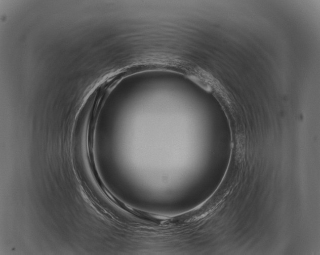 X0000086300580200704091023