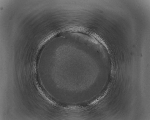 X0000086300581200704091023