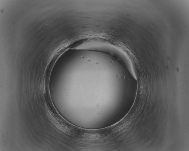 X0000086300582200704091023