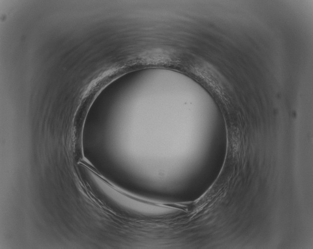 X0000086300583200704091023