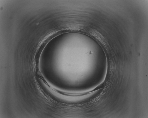 X0000086300584200704091023