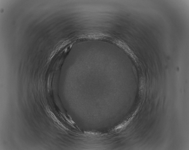 X0000086300585200704091023