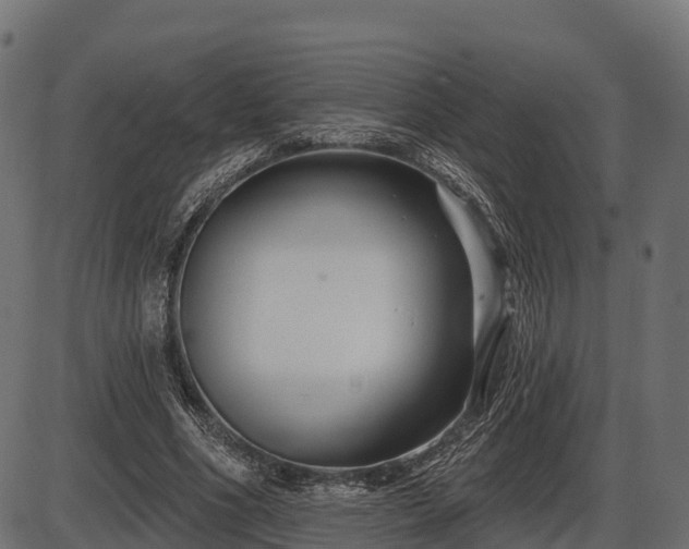 X0000086300586200704091023