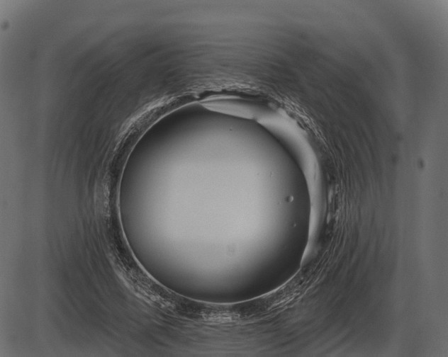 X0000086300587200704091023