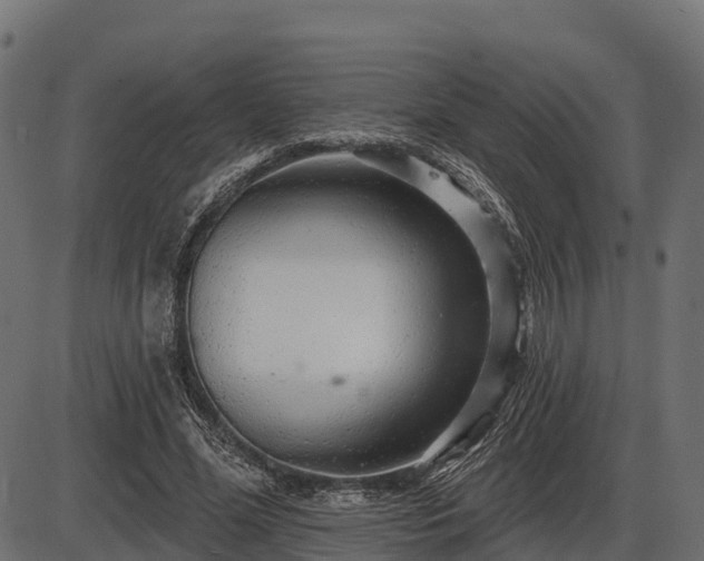 X0000086300588200704091023