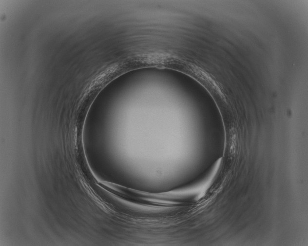 X0000086300589200704091023