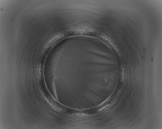 X0000086300590200704091023