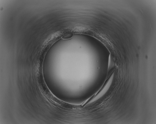 X0000086300591200704091023