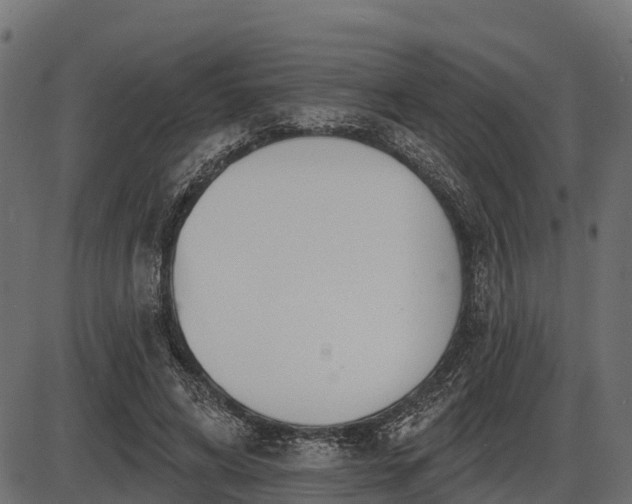 X0000086300592200704091023