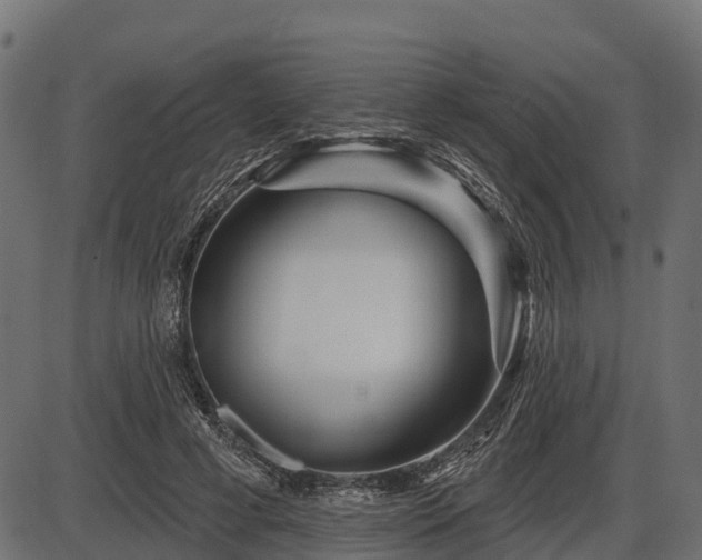 X0000086300593200704091023