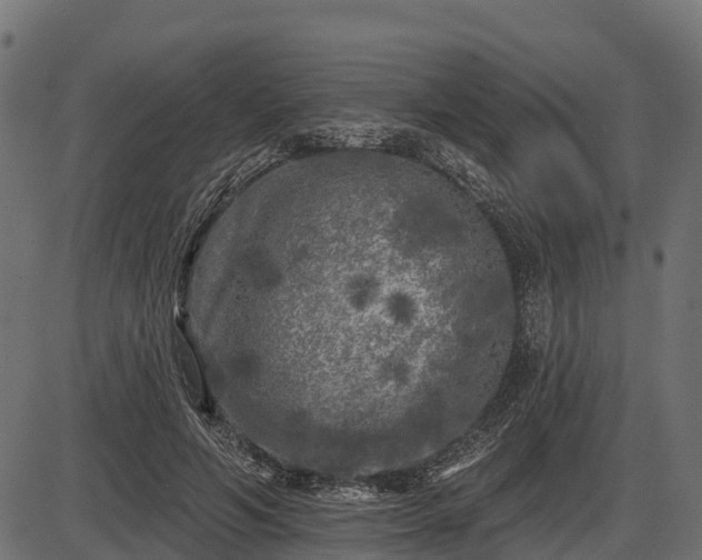 X0000086300594200704091023