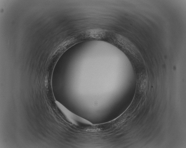 X0000086300595200704091023