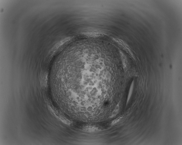 X0000086300596200704091023