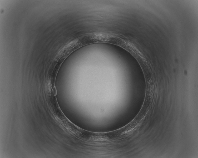 X0000086300597200704091023