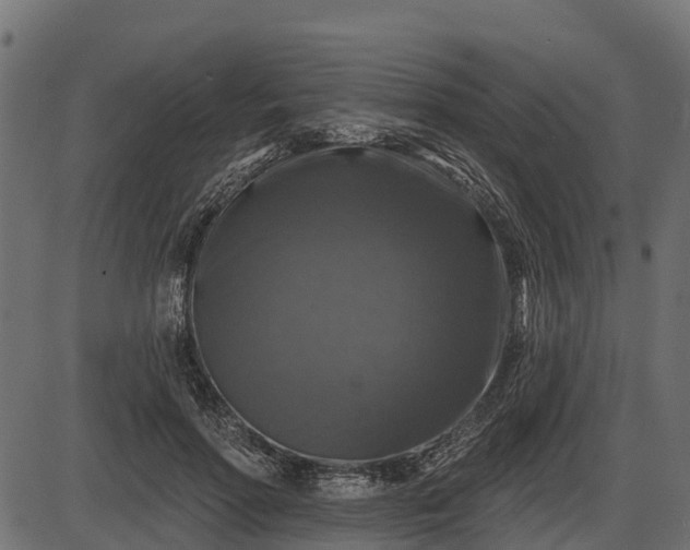 X0000086300598200704091023