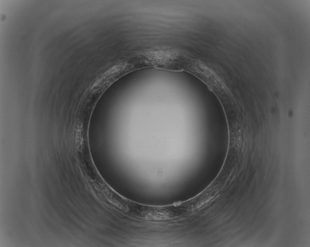 X0000086300599200704091023