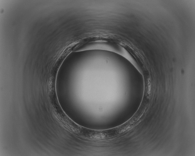 X0000086300600200704091023