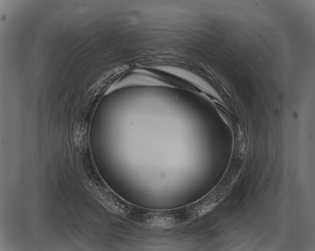 X0000086300601200704091023