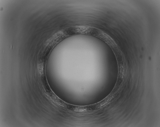 X0000086300602200704091023