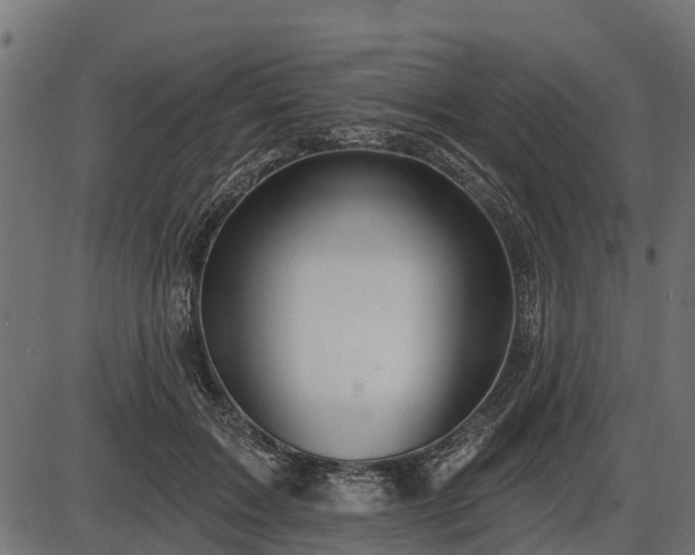 X0000086300603200704091023