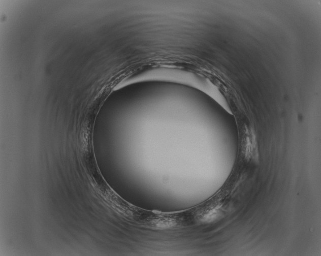 X0000086300604200704091023