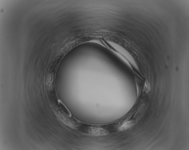 X0000086300605200704091023