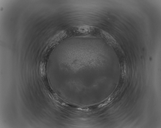 X0000086300606200704091023