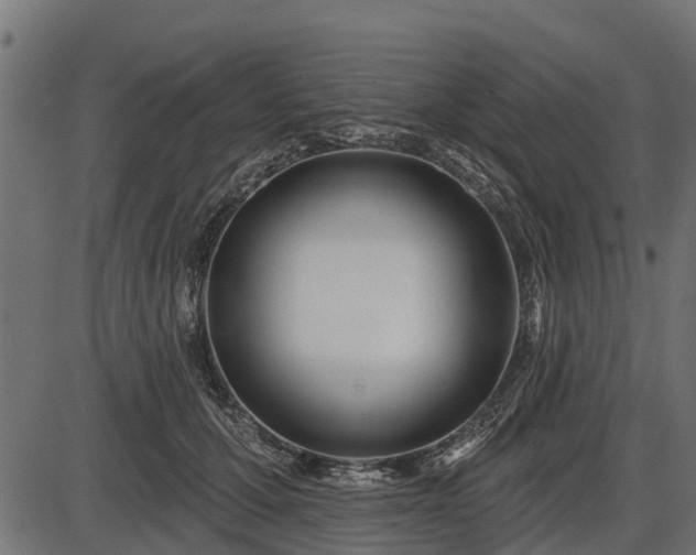 X0000086300607200704091023