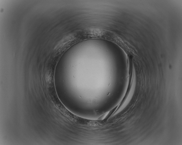 X0000086300608200704091023