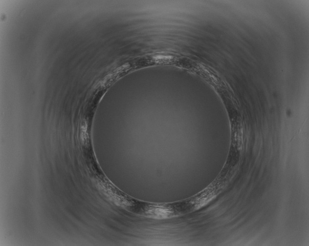 X0000086300610200704091023