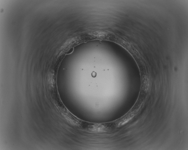 X0000086300612200704091023