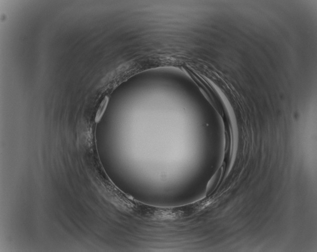 X0000086300613200704091023