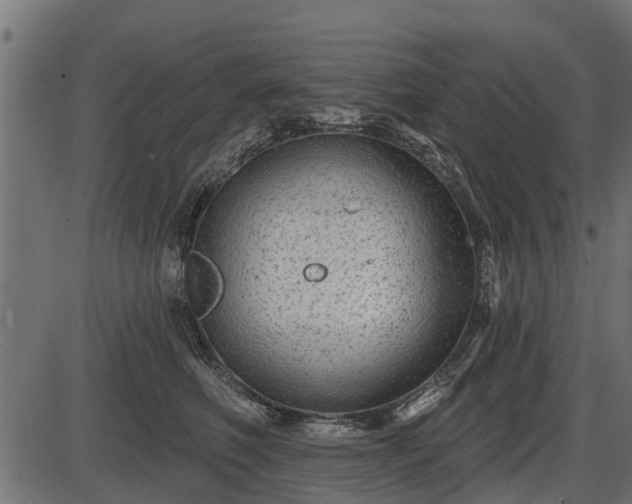 X0000086300614200704091023